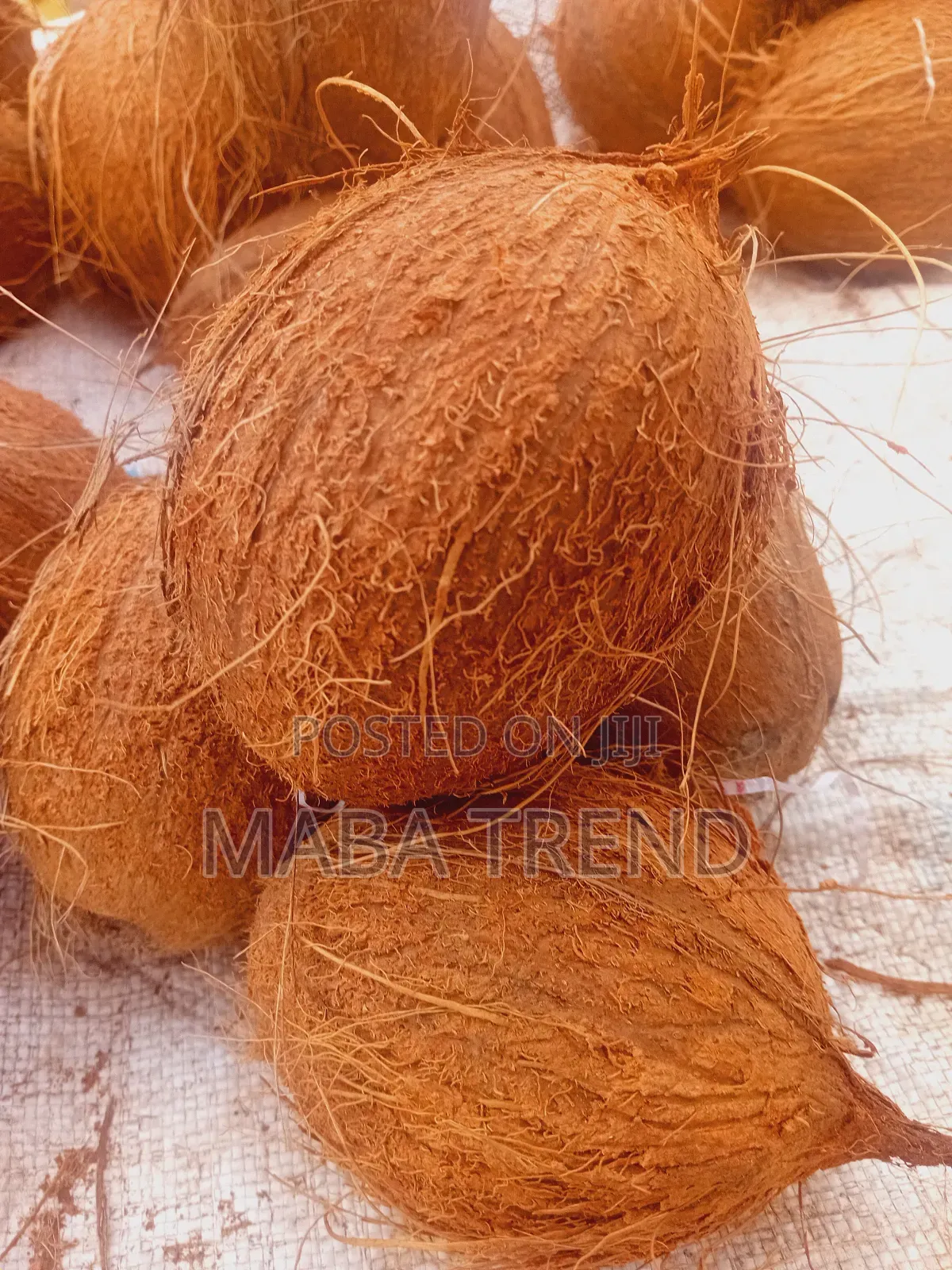 Dry Coconut Available