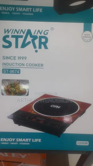 Winning Star Electric Stove 2200watt