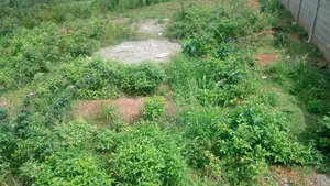 A Plot of Land for Sale in Asokore Mampong