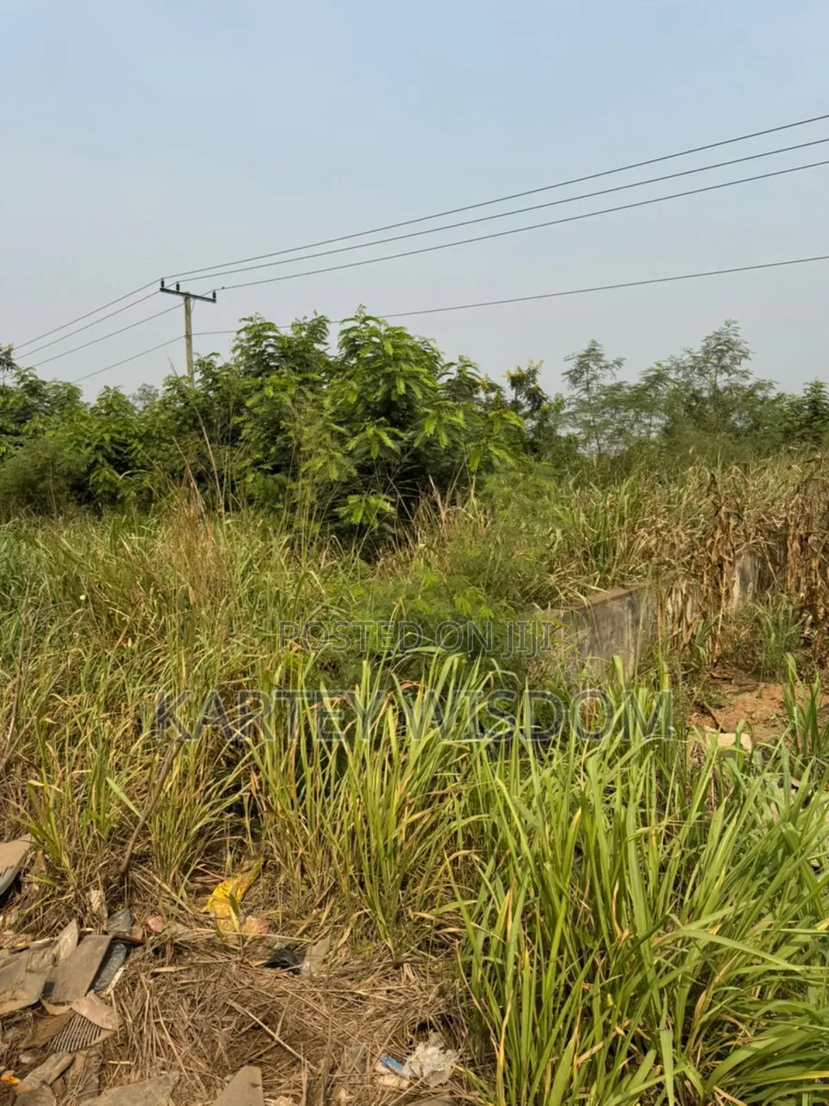 Roadside Land for Sale - 6 Plots