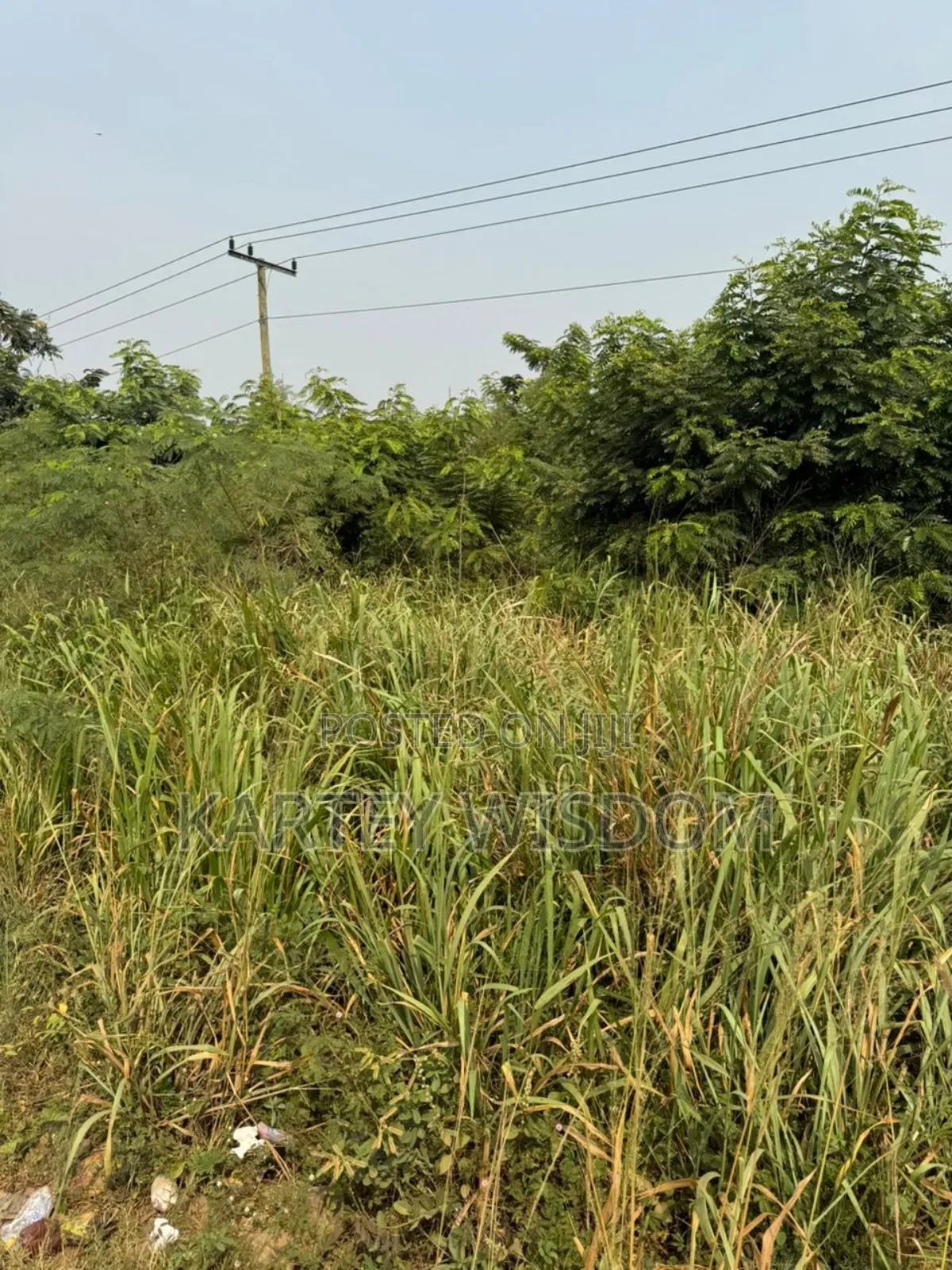 Roadside Land for Sale - 6 Plots