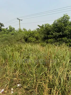 Roadside Land for Sale - 6 Plots