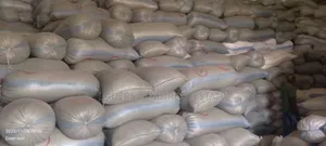 Maize Available(120kg)
