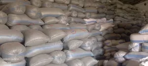Maize Available(120kg)