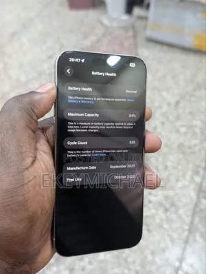 Apple iPhone 15 Pro Max 256 GB Gray