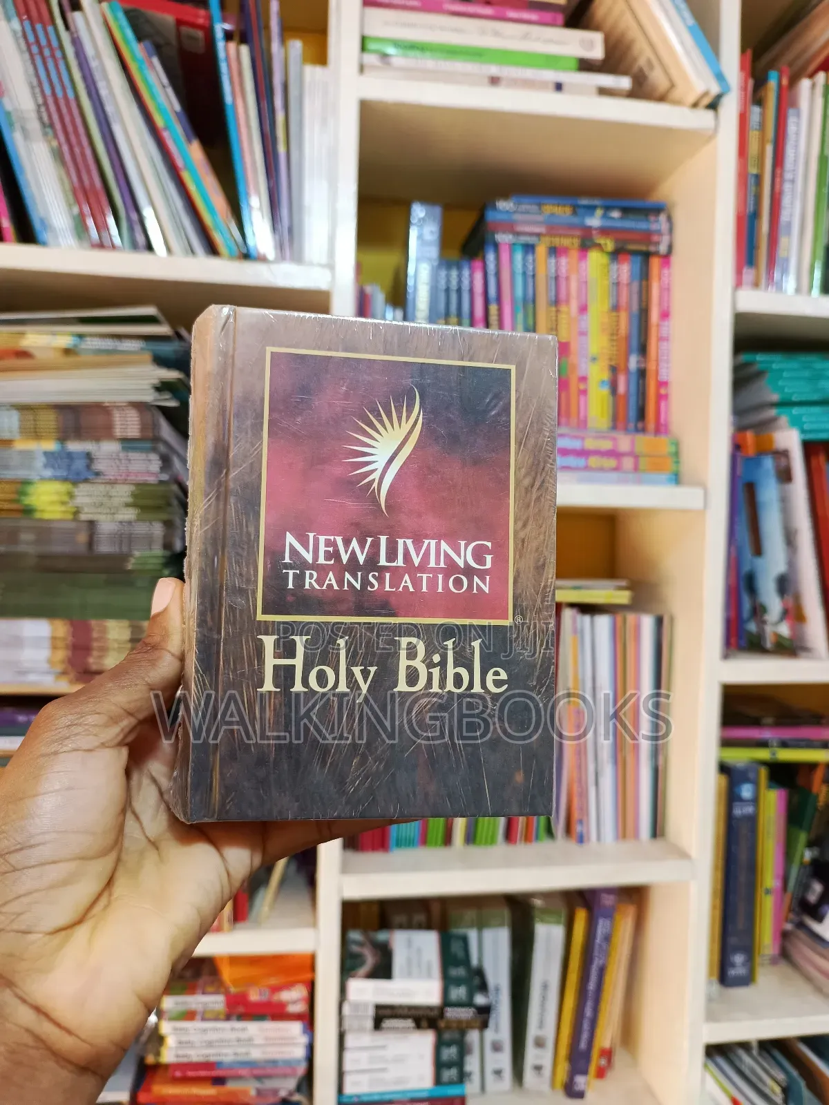 Holy Bible- Nlt