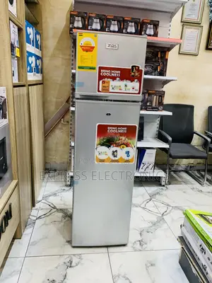 Friendly Budget for Zara 24tmf Double Door Fridge Grey