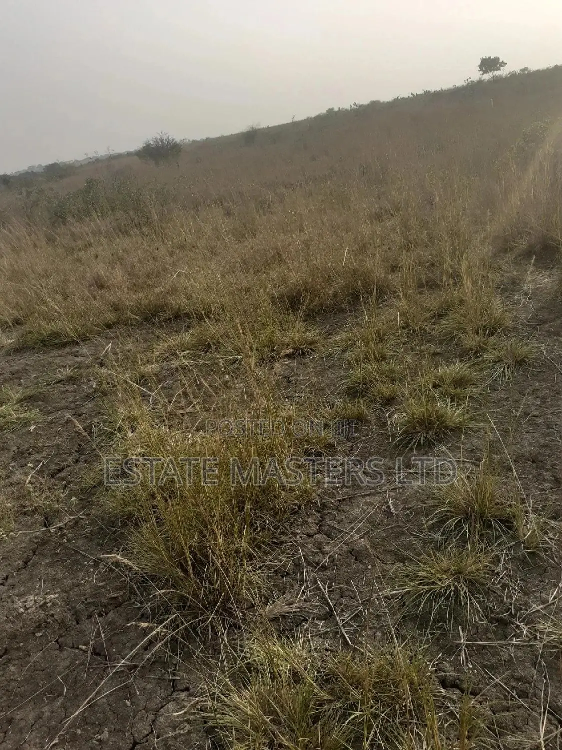 Classy Serviced Plots Near Central University