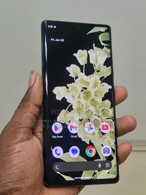 Google Pixel 6 Pro 128 GB Gray