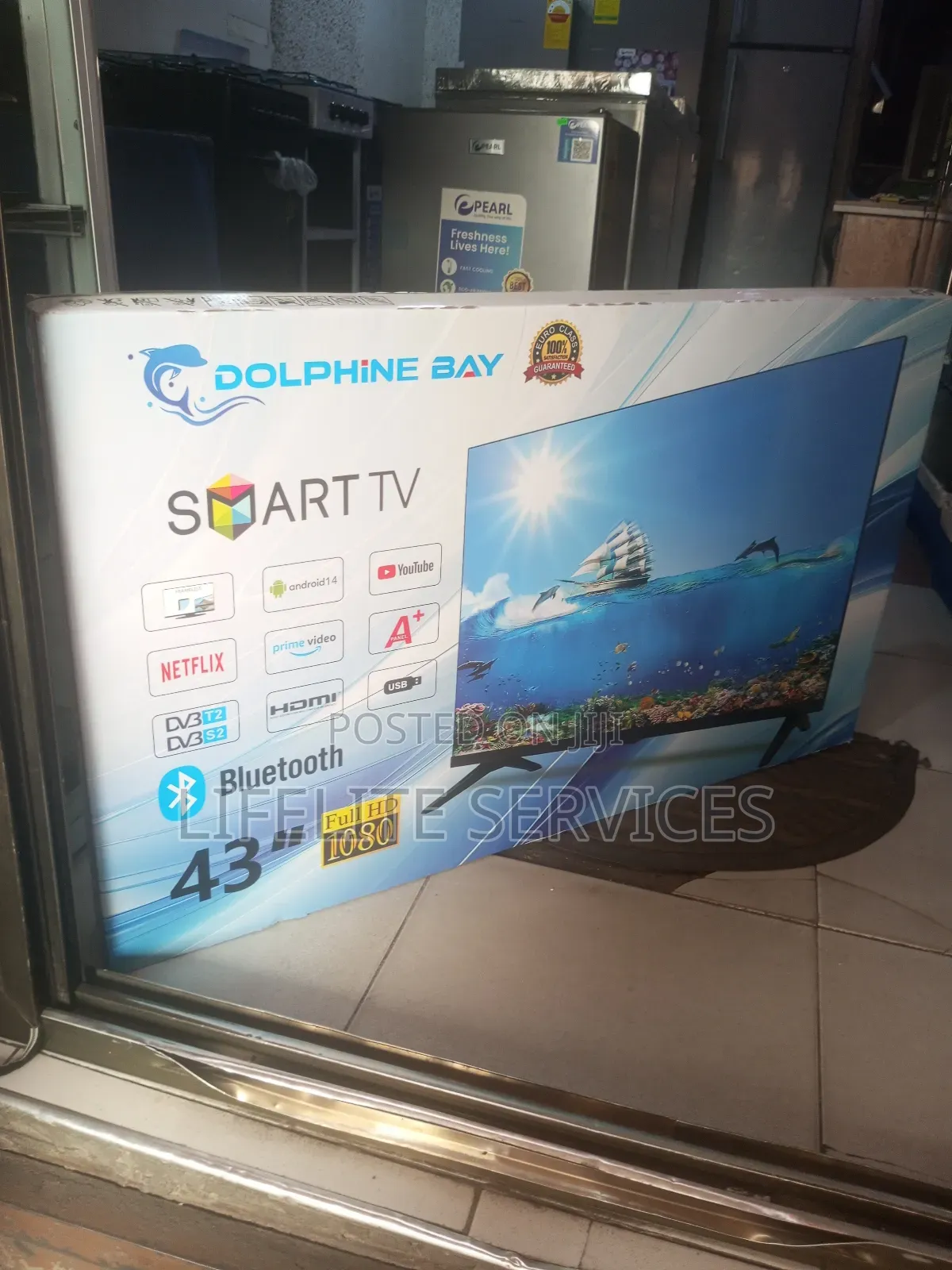 Android 14.0 Tv - Dolphin Bay 43"