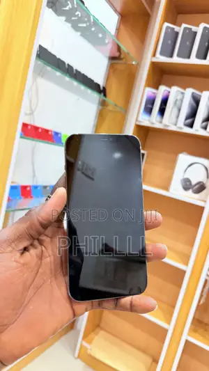 Apple iPhone 12 Pro Max 128 GB Black