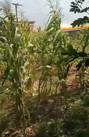 10 Plots Of Land For Sale In Aburi Peduase. Oab