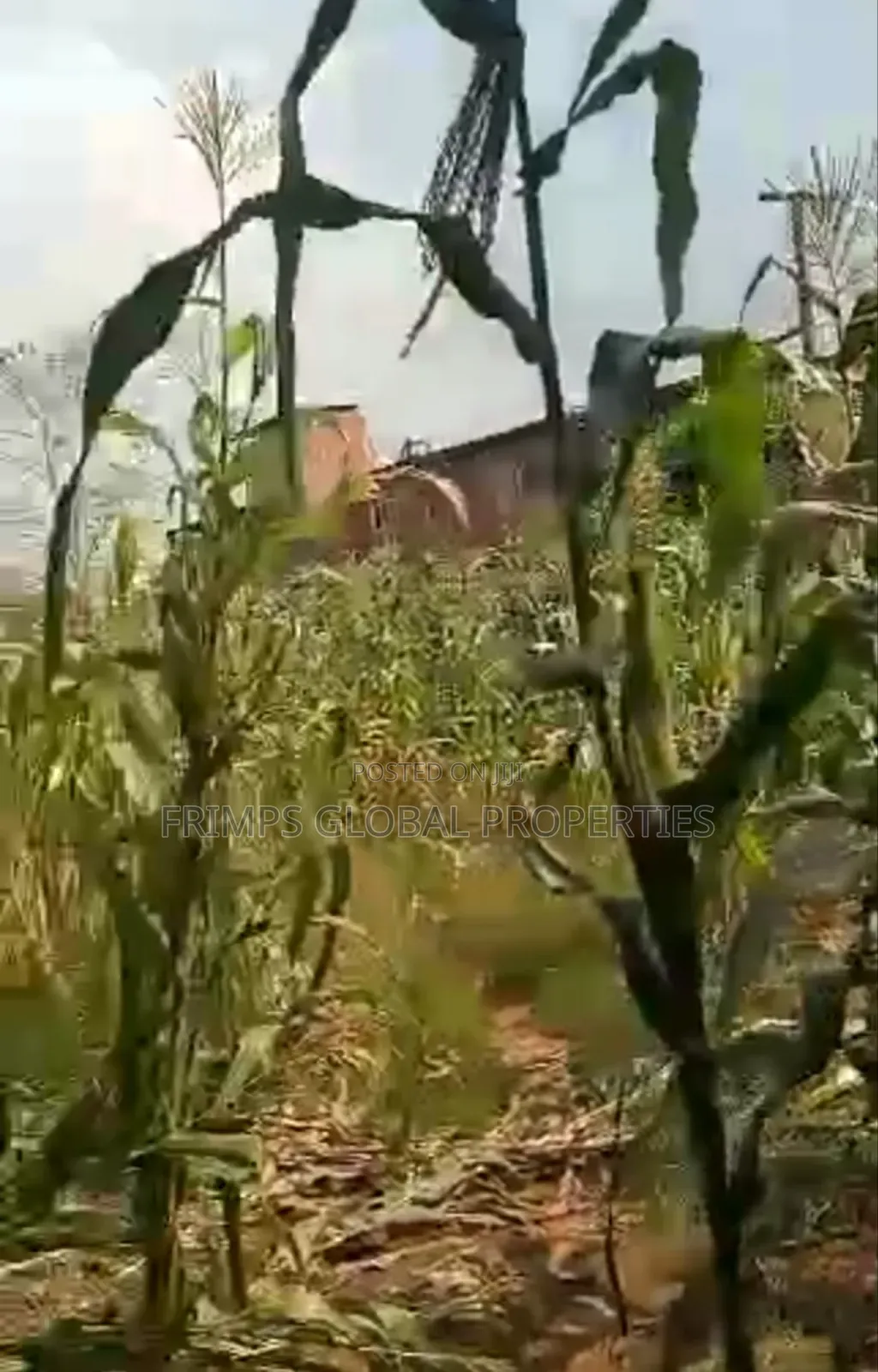 10 Plots Of Land For Sale In Aburi Peduase. Oab