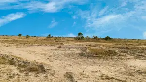 Safe Land, Free Packages, Become a Landlord! At Skyport City, Tsopoli