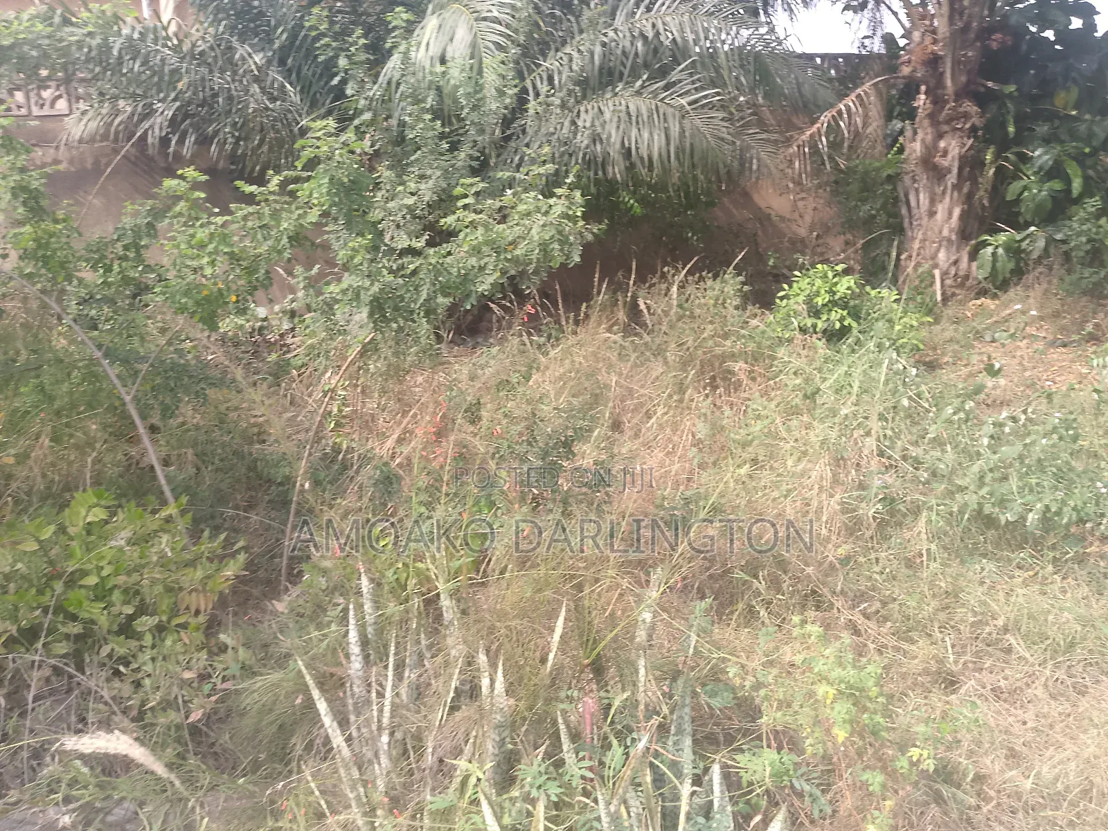 Uncompleted for Sale