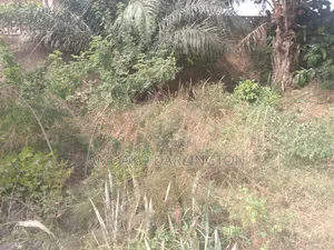 Uncompleted for Sale