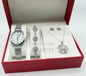 Lovely Silver Luxury Ladies Set
