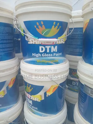 Shine Star DTM Paint (20l)