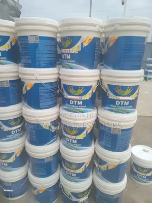 Shine Star DTM Paint (20l)