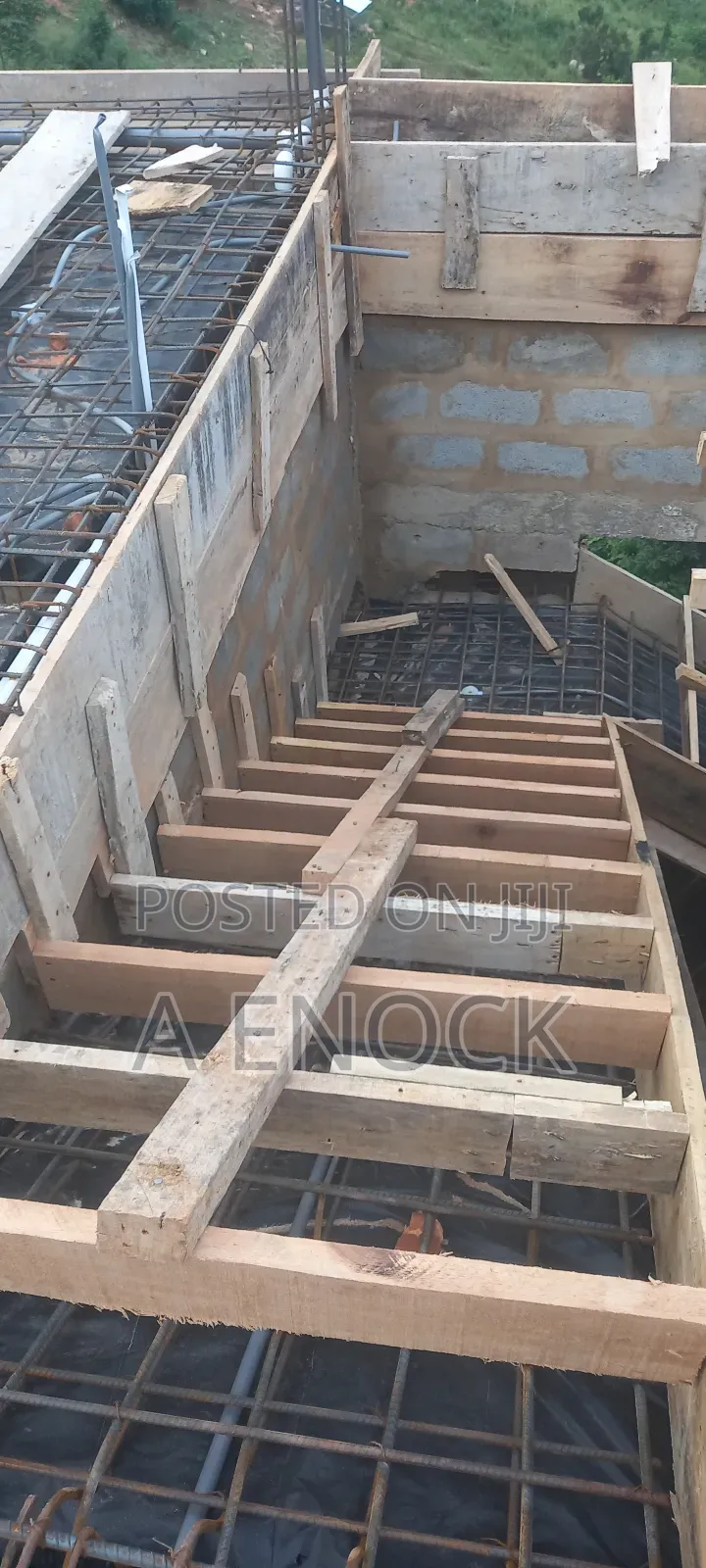 Professional Carpenter With Plywood, Board Etc