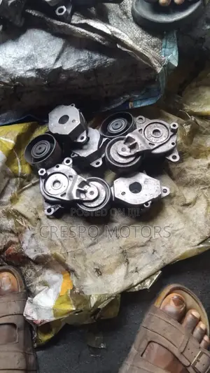 Tensioner and Pulleys