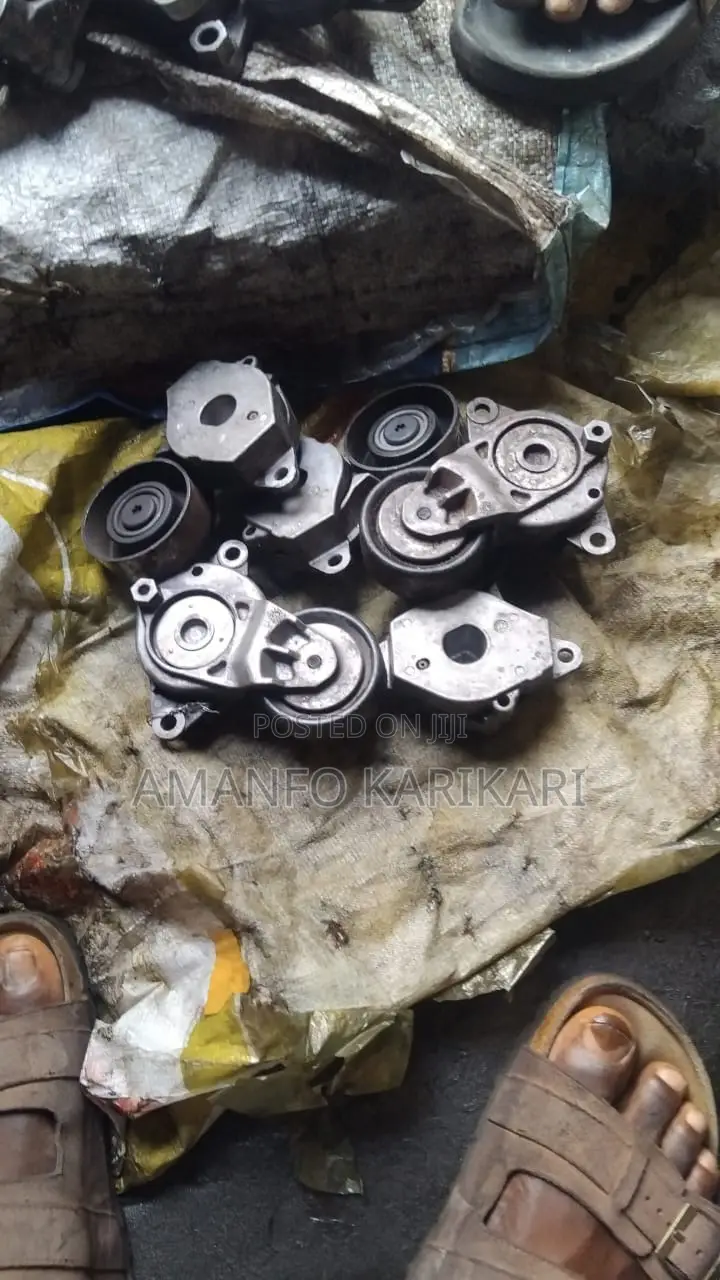 Tensioner and Pulleys