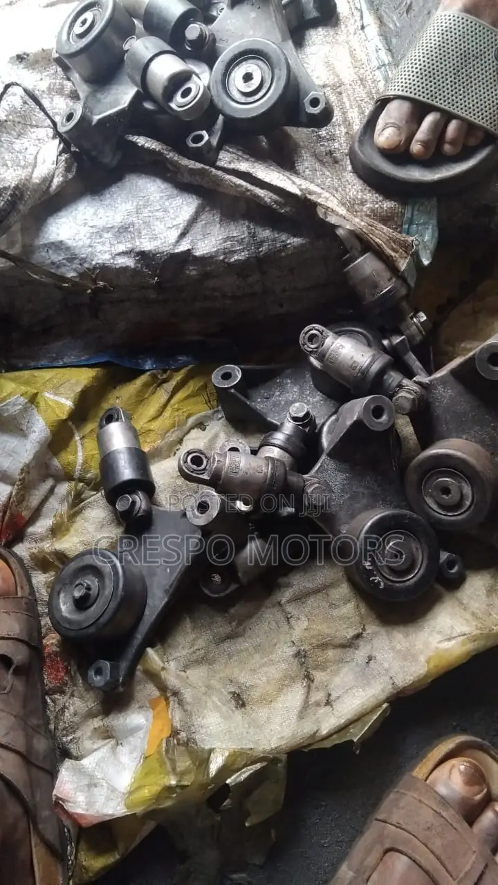 Tensioner and Pulleys