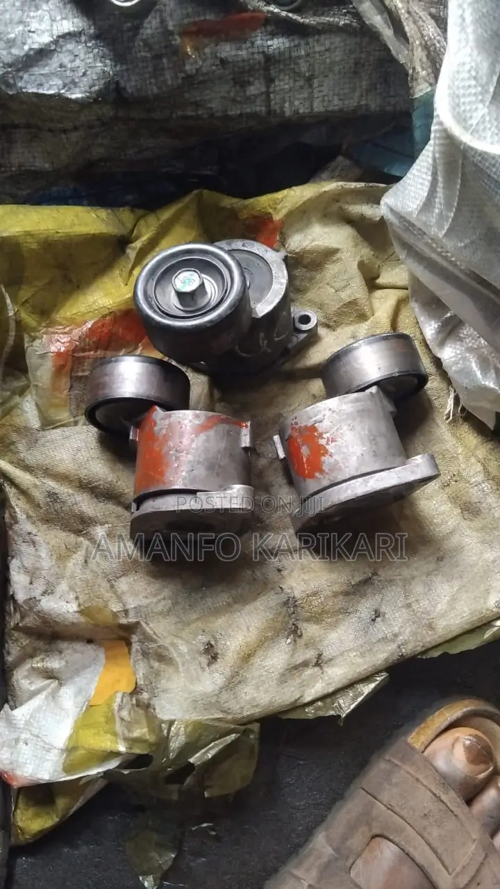 Tensioner and Pulleys