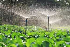 Ecoolmax Water Sprinklers