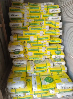 Exterior Skimming Powder (Saveto and Weber)