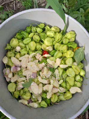 Perper Seed Is for Sale