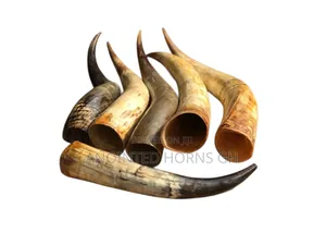 Original Treated Horn
