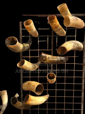 Original Treated Horn