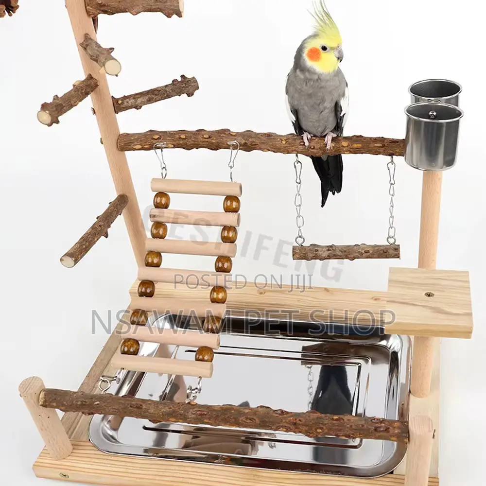 Parrot Play Toy