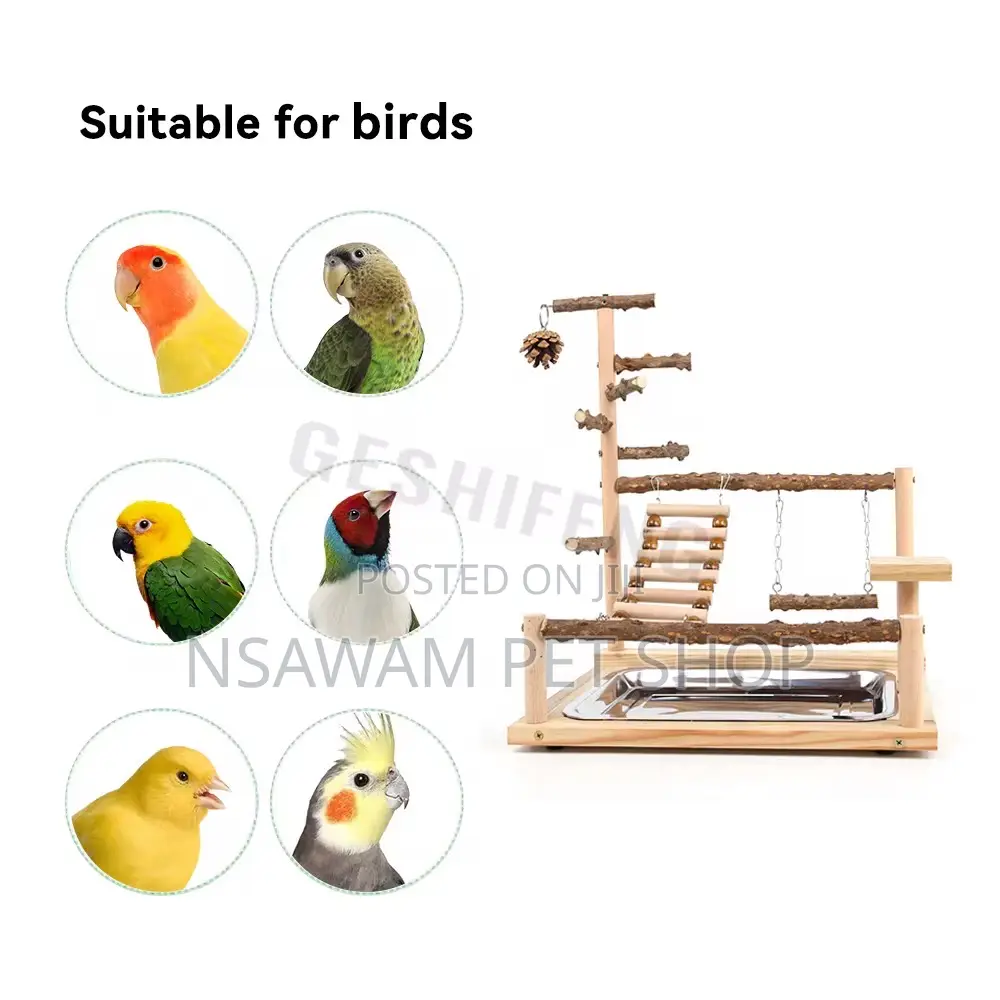 Parrot Play Toy