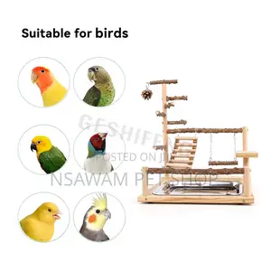 Parrot Play Toy