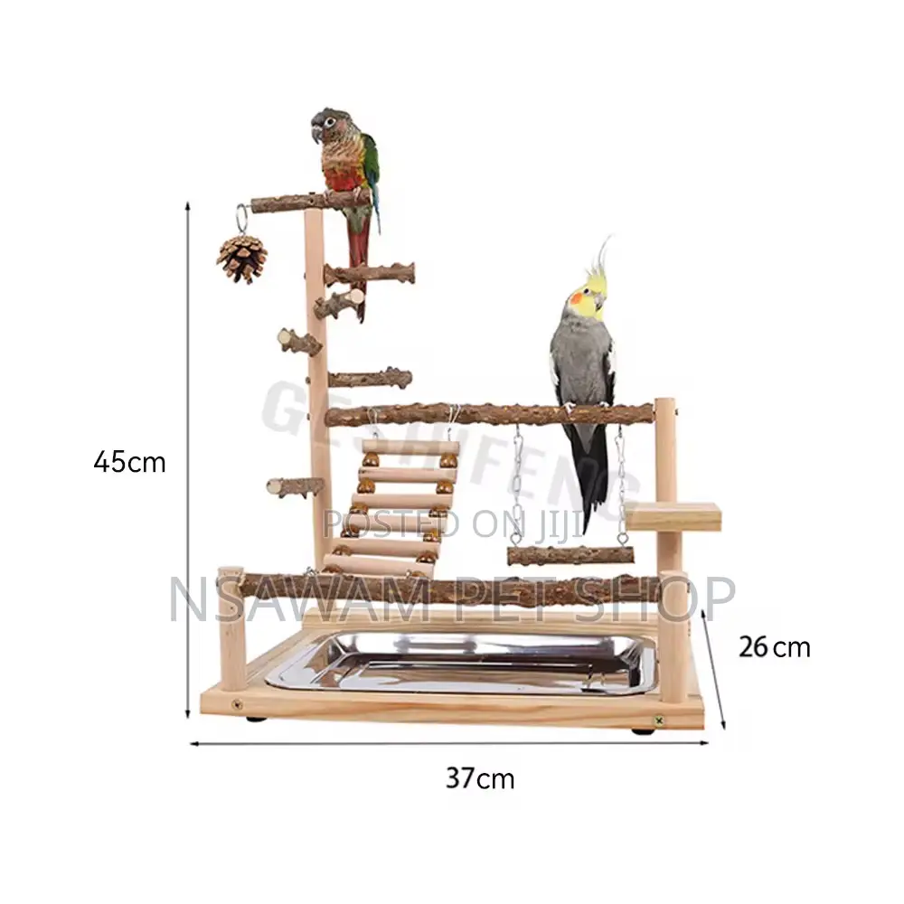 Parrot Play Toy