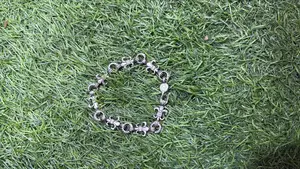Men Chrome Bracelet