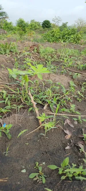 Land for Sale (Uhas Area) Ho