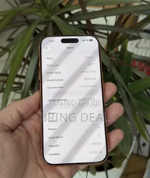 Apple iPhone 17 Pro 256 GB Orange