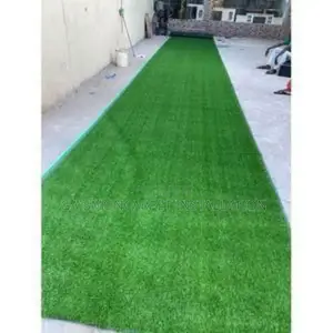 Artificial Grass Carpet 25mm All Size and Colors 27 Yards