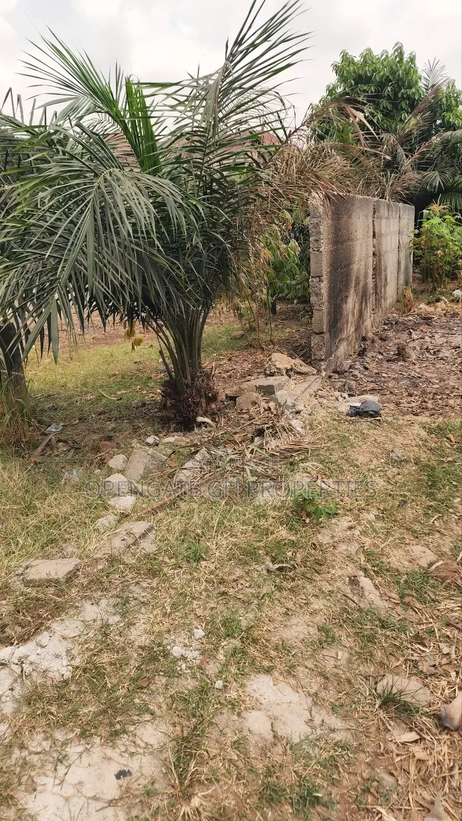 Land For Sale At Patasi