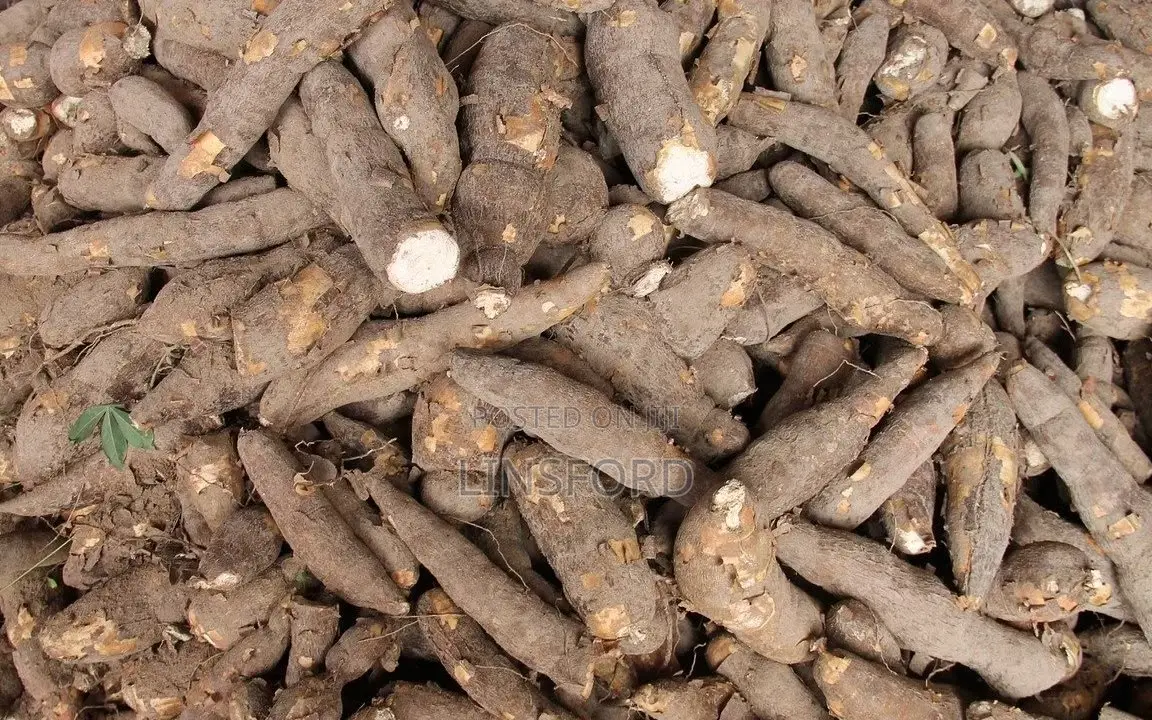 Quality and Cheap Gari and Cassava Available