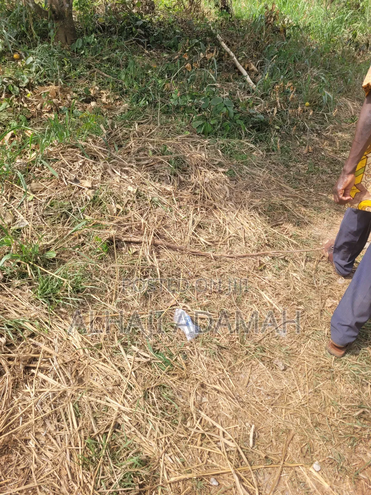 Half Plot for Sale at Santa'si Darko