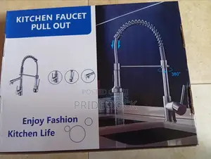 Kitchen Faucet, Pull Out Sink Tap, Two Outlet