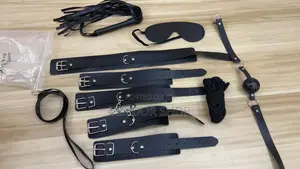 BDMS Set for Sexual Pleasure
