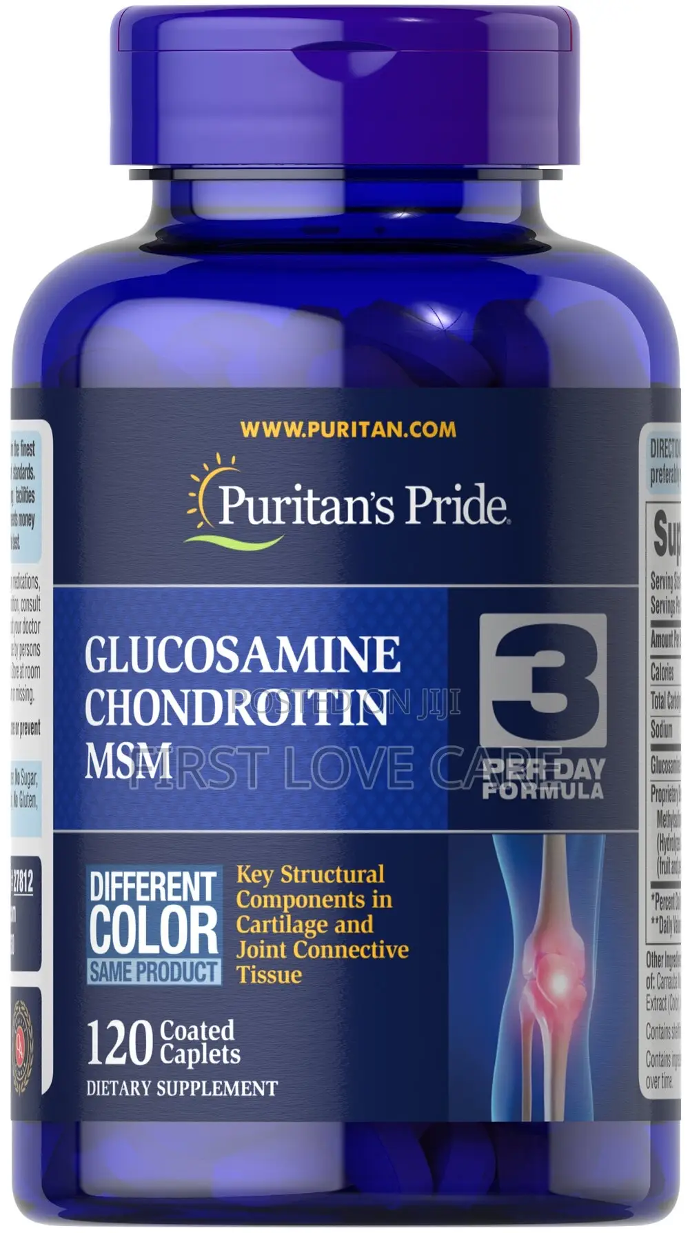 Puritan Pride Glucosamine and Chondroitin MSM 120 Pill