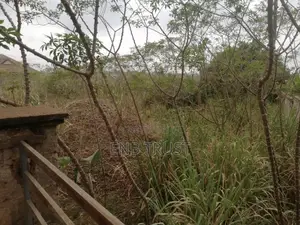 120 X 100 Plot of Land for Sale at Ejisu