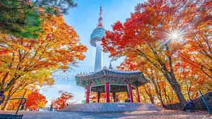 Tourist Visa to South Korea