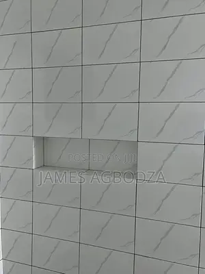 Professional Tiling Master